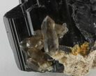 Black Tourmaline (Schorl) & Smoky Quartz - Namibia #31908-1